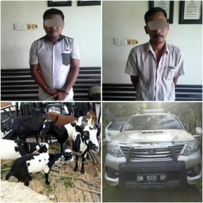 BIKIN NGAKAK...Pencuri di Pujud Ini Pakai Mobil Fortuner Mewah Buat Nyuri Kambing Warga