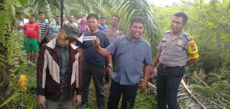ASTAGA...Cari Madu, Warga Rohil Temukan Mayat Ronata Tergantung di Pohon Sawit