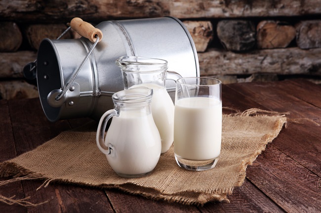 Manfaat Susu Unta yang Menyehatkan