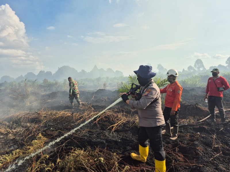 Tim Gabungan Polsek Teluk Meranti Lakukan Pendinginan Kebakaran Lahan Di Kelurahan Teluk Meranti