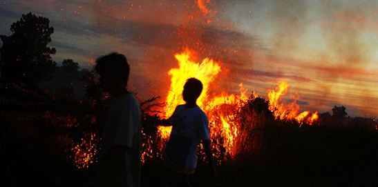 Saat Idul Fitri, 24 Titik Api Muncul di Riau