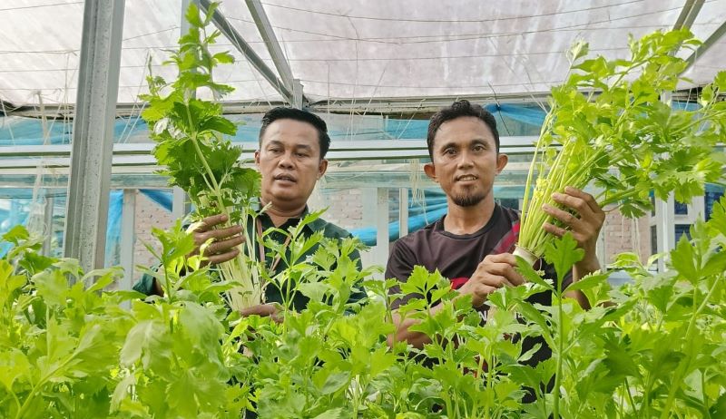 Erupsi  Marapi di Sumbar, DKP Upayakan Pasokan Pangan ke Pekanbaru Tetap Tercukupi