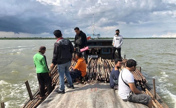 Polres Meranti Gagalkan Pengiriman 3.200 Batang Kayu Bakau ke Malaysia