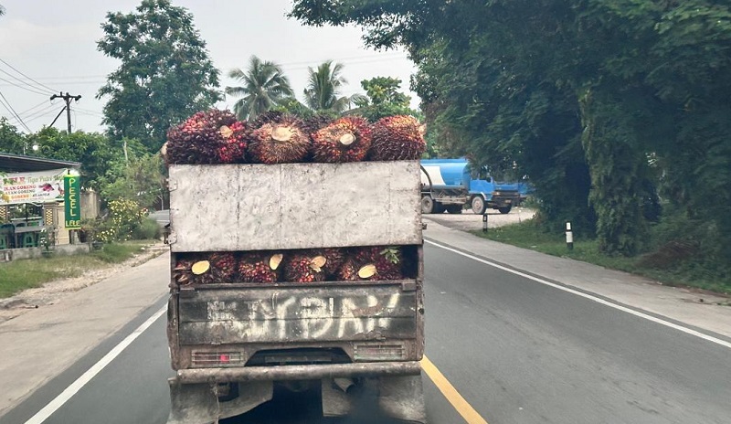Harga TBS Mitra Swadaya Riau Periode 24–30 September 2025