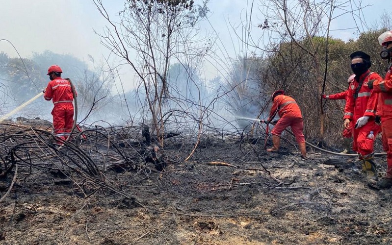 Dua Daerah di Riau Tetapkan Siaga Darurat Karhutla