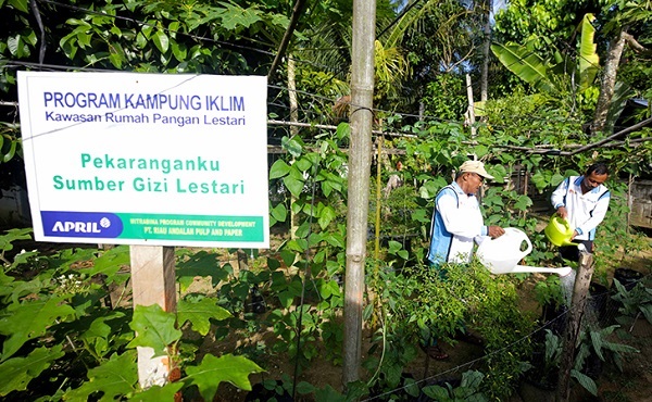 Melihat Aksi Melawan Perubahan Iklim, Upaya PT RAPP Berjuang di Tingkat Tapak Bersama Masyarakat