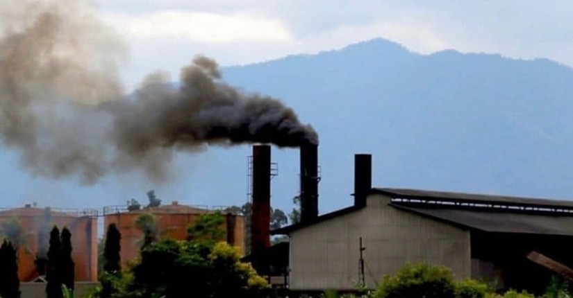 Kabut Asap Karhutla Mengancam, Bupati Siak Minta PKS Setop Bakar Janjang Kosong