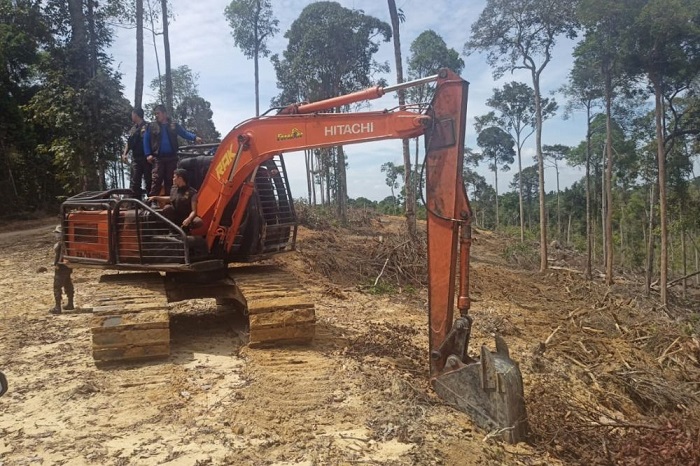 Pemilik 3 Alat Berat Perambah Hutan di Kampar Mangkir Dipanggil DLHK Riau