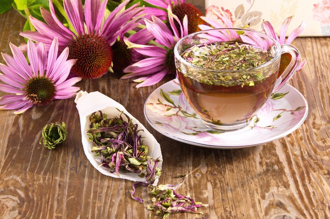 Manfaat Echinacea, dari Mengobati Pilek hingga Menurunkan Gula Darah