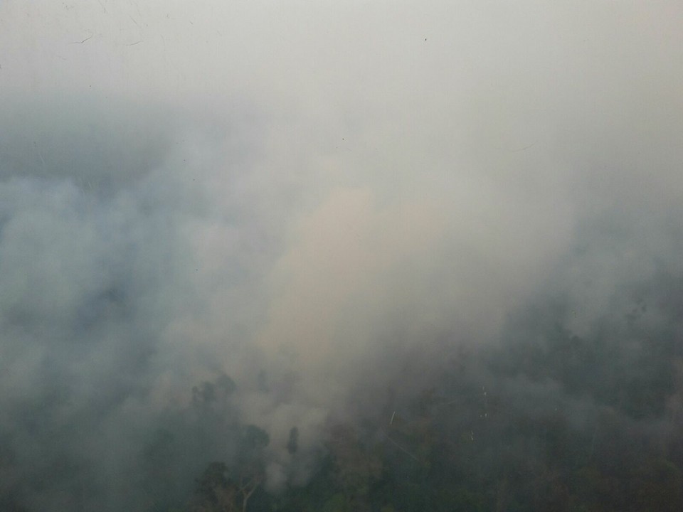 Kapolda Riau Janji Tak Ada Tebang Pilih dalam Pengusutan Pelaku Pembakaran Hutan