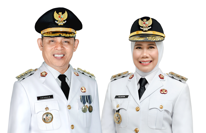 Ini Dia, Sosok Bupati dan Wakil Bupati Indragiri Hilir 5 Tahun ke Depan