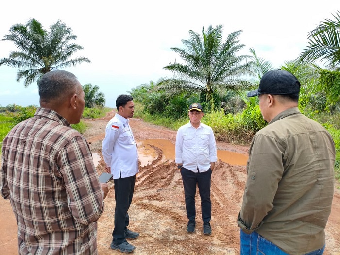 Kadis PUPR Rohil Tinjau Kondisi Jalan Ampaian Rotan, Perbaikan Direalisasikan Tahun Ini
