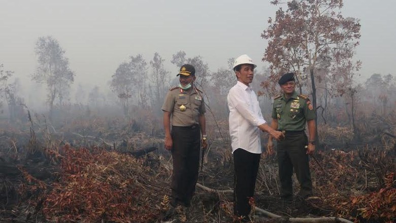 Asap Pekat di Jambi, Jokowi Batalkan Kunjungan ke  Riau Hari Ini