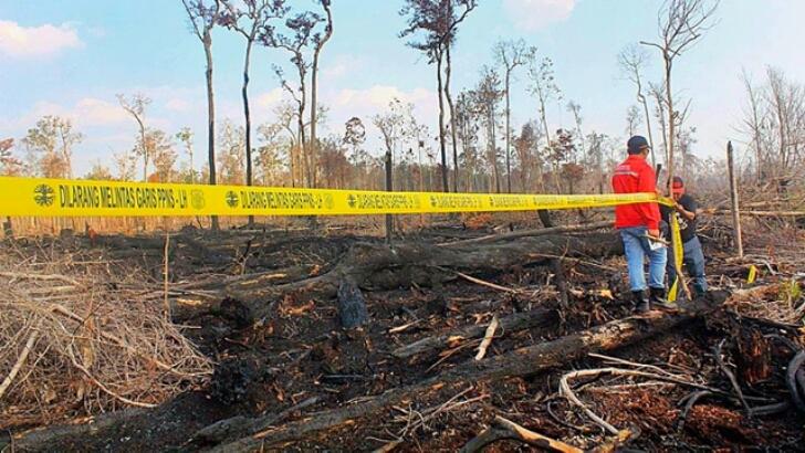 Jelang Sidang Tuntutan, Jikalahari dan RCT Kupas Kasus Kebakaran Hutan PT LIH
