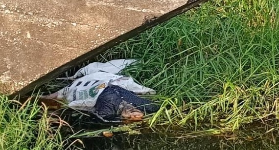 SADIS, Pria yang Ditemukan di Pangkalan Kerinci Tewas Penuh Luka di Bagian Ini, Dugaan  Polisi...