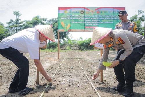 Polres dan Pemko Dumai Kolaborasi Tanam Jagung Serentak Kuartal IV