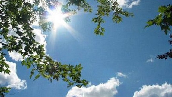 Hari Ini Cerah, Hanya Terpantau 8 Hotspot di Riau Hari Ini