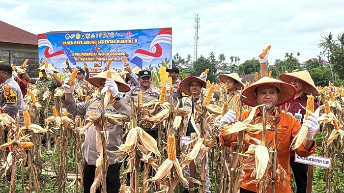 Polda Riau Panen Raya Jagung Pipil di Bambu Kuning Pekanbaru