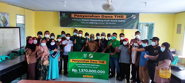 SENANGNYA...Sukses Lakukan Replanting Bersama Asian Agri,  Anggota KUD Sawit Subur  Dapat THR 