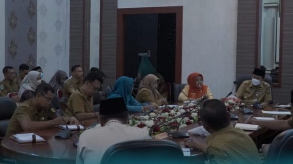 Bupati Rohul SUkiman Terima Alokasi DAK Penanggulangan Stunting dari BKKBN Provinsi Riau