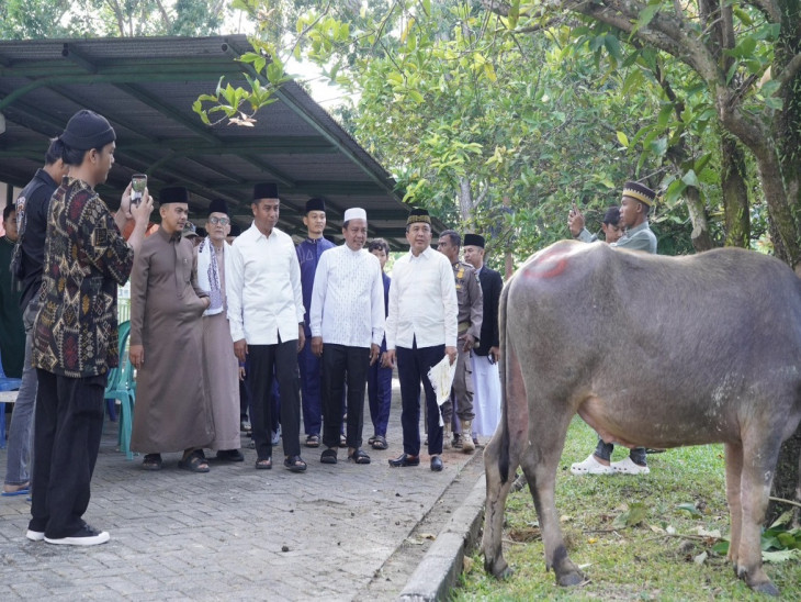 Islamic Center Bangkinang Masuk 4 Besar Nasional Penyumbang Hewan Qurban Terbanyak