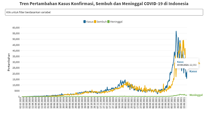 UPDATE 19 Agustus 2021: Naik Lagi, Bertambah 22.053 Kasus Positif, 29.012 Sembuh, 1.492 Meninggal Dunia