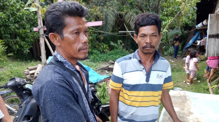 TRAGIS...Usai Nyoblos, Pasutri Tertimpa Pohon Sawit, Sang Istri Tewas