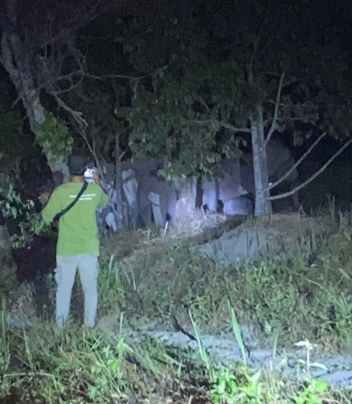 Belasan Gajah Dewasa Masuk Kebun Warga di Muara Fajar