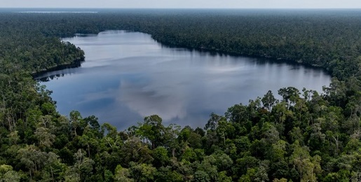 Gubernur Wahid Jemput Peluang 1 Triliun Dana 'Carbon Trade' ke Inggris
