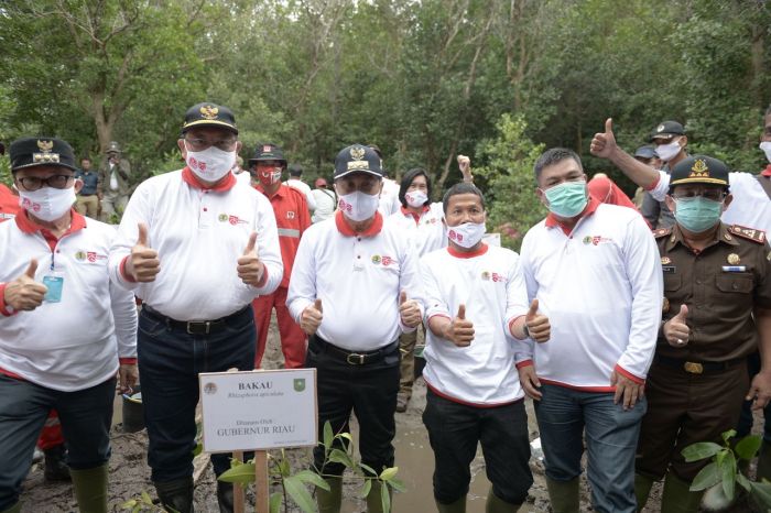 Gubri Bersama Kapolda, Danrem dan Ketua DPRD Riau Tanam Mangrove di Bandar Bakau, Kota Dumai