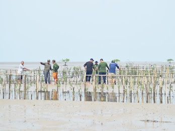 LPHD Teluk Pambang dan YKAN Tanam 5.000 Mangrove di Pesisir Bengkalis