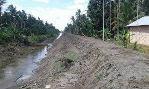 Selamatkan 12.500 Ha Kebun Kelapa, DPRD dan Pemkab Inhil Bangun Tanggul Sepanjang 500 Kilometer