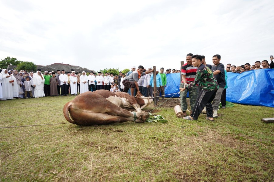Demi Keamanan dan Kelancaran, Panitia Masjid Diminta Pahami Karakter Hewan Kurban