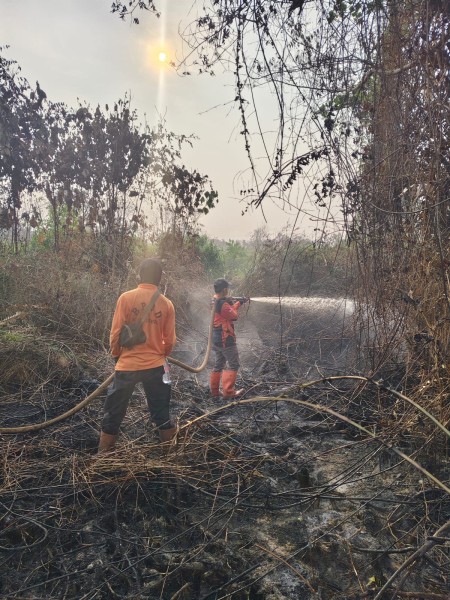 Petugas Berjibaku Padamkan Karhutla Sungai Beringin yang Capai 15 Hektare