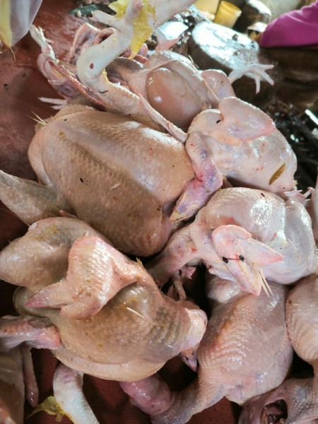 Harga Daging Ayam Naik, Pemko Pekanbaru Panggil Produsen