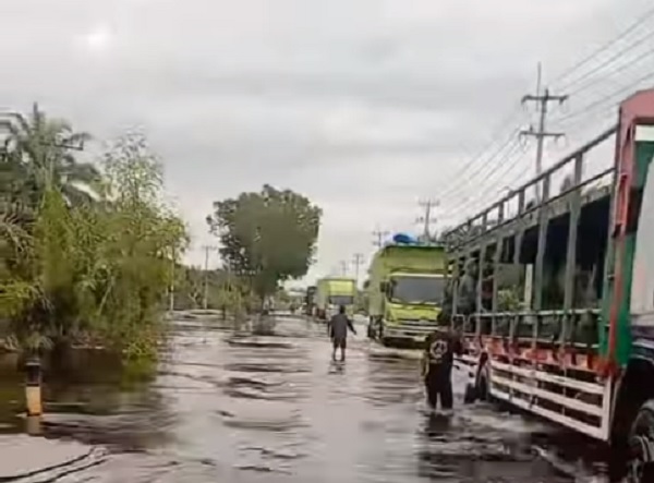 Rusak Karena Banjir, Pemkab Pelalawan Akan Timbun Badan Jalan Berlubang di KM 76-83