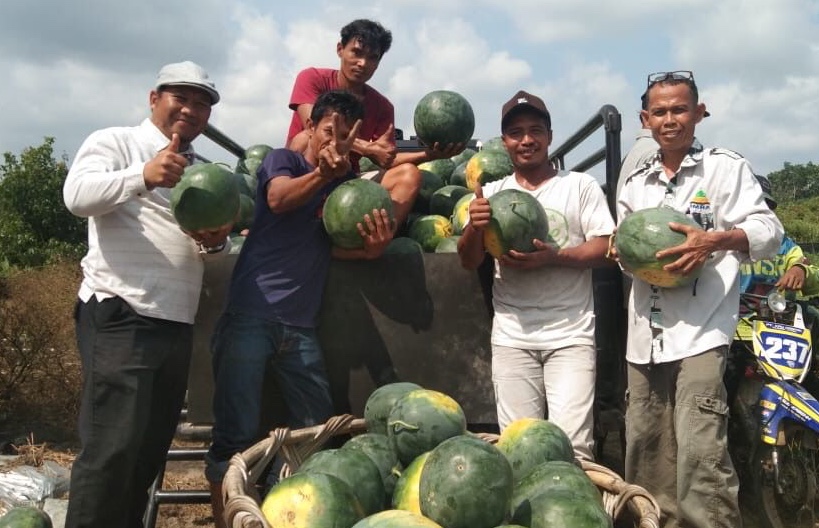 Merasakan Manisnya Hasil Tani Koptan Binaan CD RAPP
