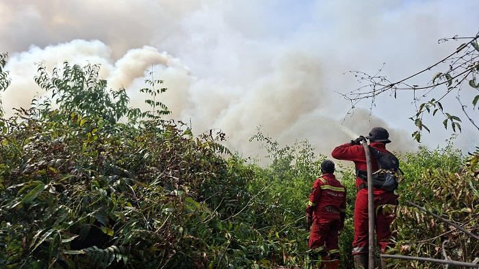 Tim Gabungan Pastikan Tidak Ada Api Susulan di Guntung Hilir