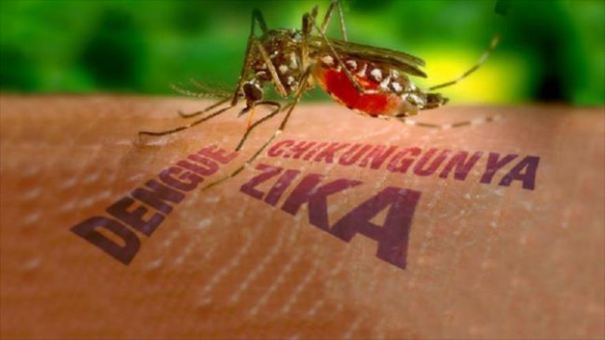 Diskes Nyatakan Inhil Belum Ditemukan Penderita Virus Zika