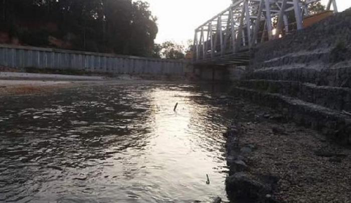 Air Berubah Jadi Hitam, Ribuan Ikan  Mati di Sungai Bawang Kuansing, Warga Tak Berani Makan