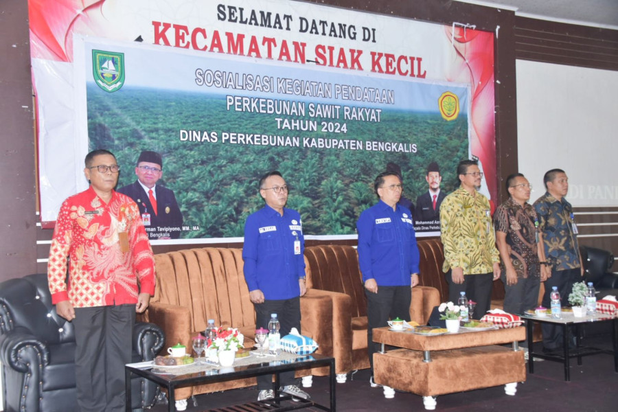 Pjs Bupati Tavip Tegaskan Pentingnya Pendataan Perkebunan Sawit Rakyat, Untuk Kesejahteraan Petani