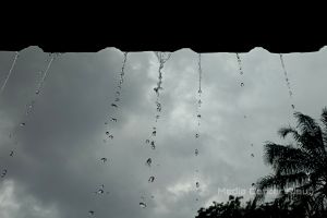 Perkiraan Cuaca Di Riau 25 Oktober 2023