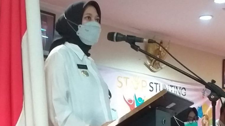 Rezita Meylani Buka Rembuk Stunting Indragiri Hulu