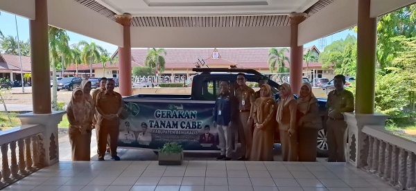 Pemkab Bengkalis Bagikan 5.000 Bibit Cabai, Ajak ASN Jaga Ketahanan Pangan