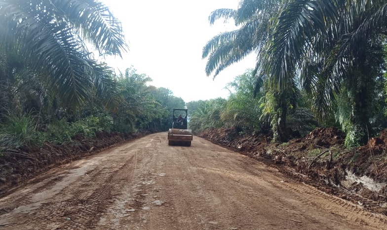 Hubungkan Desa Sejati-Rambah Muda-Rohul,Dinas PUPR Buka Jalan Baru Sepanjang 7 Kilo Meter