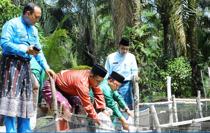 Bujang Kampung di Belading, Wabup Siak Puji Aktivitas Pembibitan Ikan