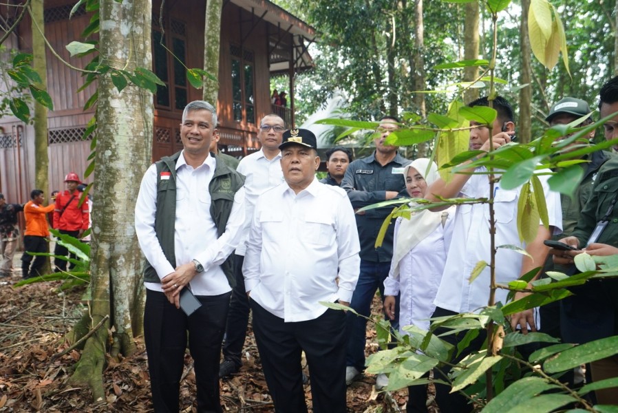 Delapan Tahun Restorasi, Riau Sukses Pulihkan 451 Ribu Hektare Gambut