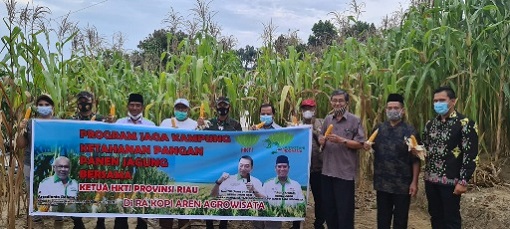 Panen Jagung di RA Kopi Aren, Danrem 031 Wirabima: Mari Jaga Ketahanan Pangan, Program SantanNU Kita Dukung