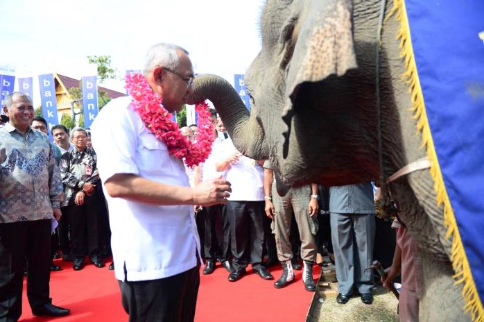 DISAKSIKAN KETUA KPK DAN GUBRI, Atraksi Gajah Sumatera Meriahkan Integritas Expo 2016