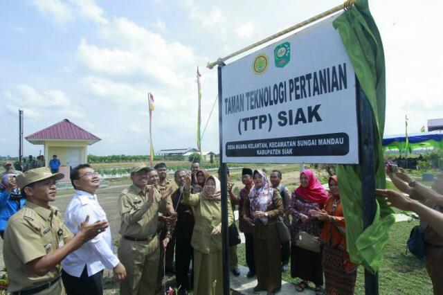 BPTP Riau dan Siak Launching TPP di Muara Kelantan